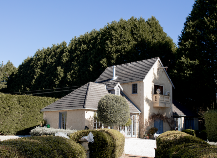 Mon Amour, Berrima_8 (1)