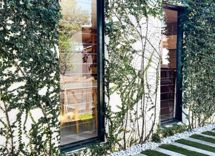 backyard established gardens