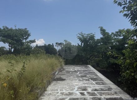 MonumentHouseBali130