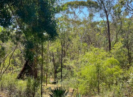 Moon River, Warrandyte 2