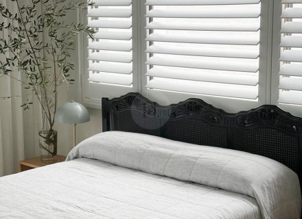 Morelo, Curl Curl-04