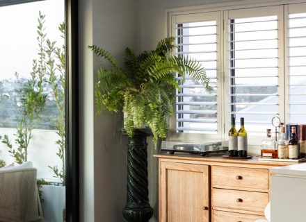 Morelo, Curl Curl-06