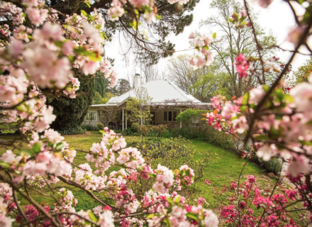 Moss Vale House, Burradoo 4