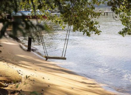 Mossreach, Cogra Bay-2