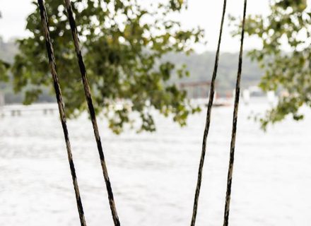 Mossreach, Cogra Bay-20