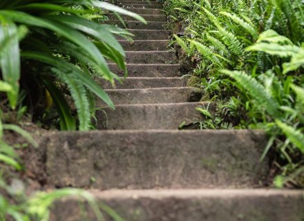 Mossreach, Cogra Bay-24