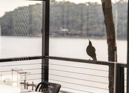 Mossreach, Cogra Bay-27