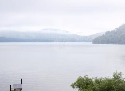 Mossreach, Cogra Bay-3