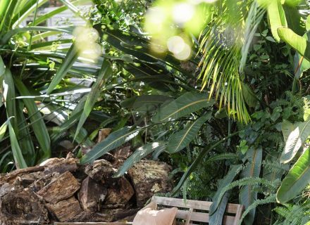 Mossreach, Cogra Bay-36