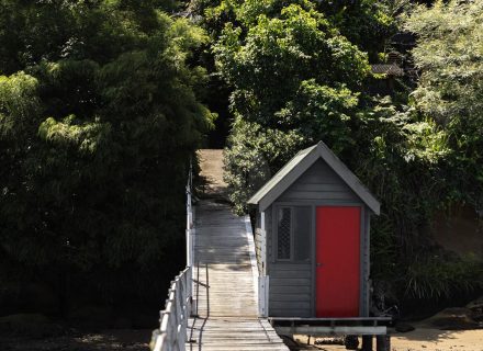 Mossreach, Cogra Bay-43