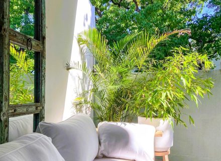 backyard garden established