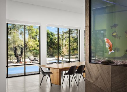 Nemo, Kellyville_24