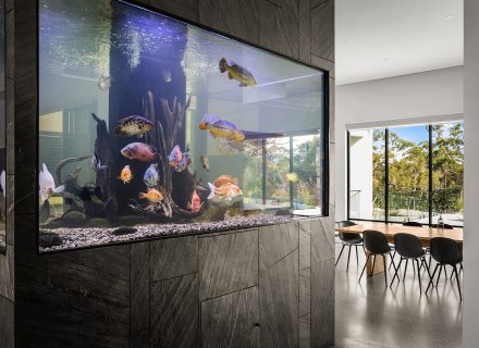 Nemo, Kellyville_25