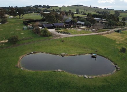 Nightshade, Kangaroo Ground 56