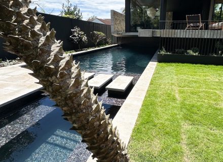 Nocturne, North Narrabeen-13