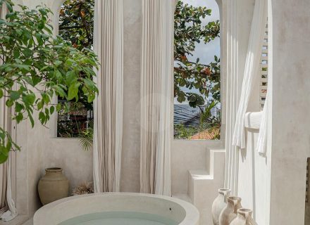 backyard garden established