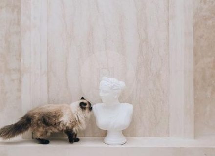 Nomari Studio, Canggu 16