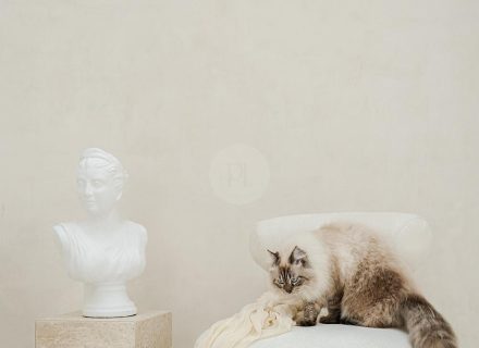 Nomari Studio, Canggu 27