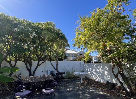 pool gardens established backyard