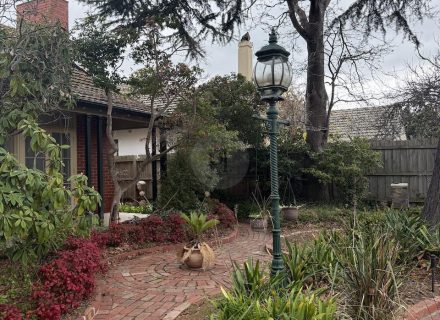 OLIVE HOUSE FRONT GARDEN57