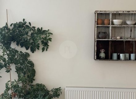 OLIVE HOUSE LIVING4