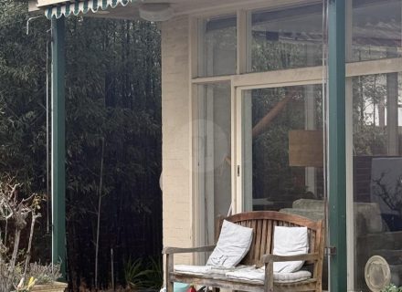 OLIVE HOUSE OUTDOORS11