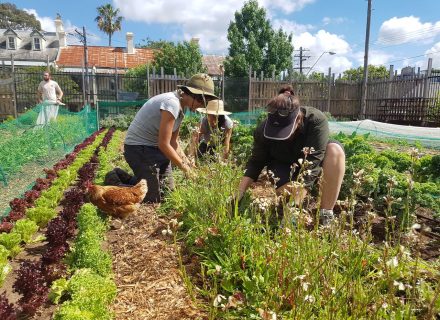 garden established