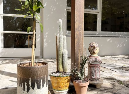 Oaklands, North Bondi17