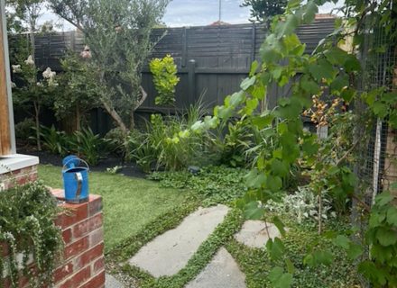 backyard garden established pool