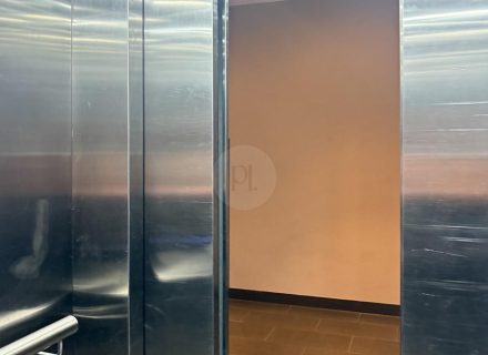 Old Clare Hotel, Chippendale 31