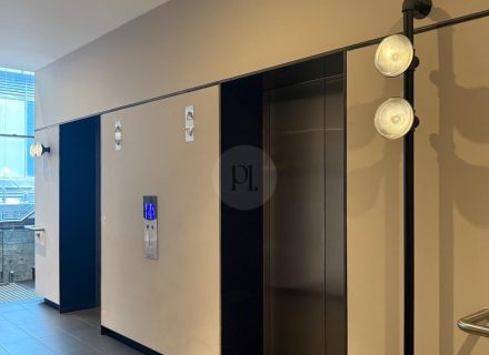 Old Clare Hotel, Chippendale 38