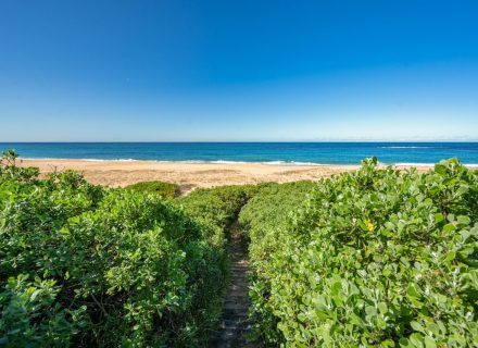 Ombre, Forresters Beach 20