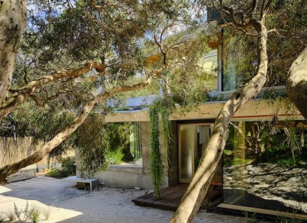 outdoor area driveway garden established