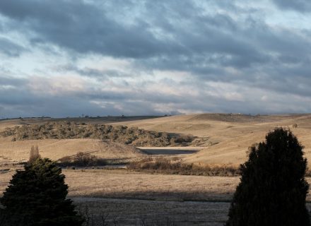 Opulence Estate, Bombala 33