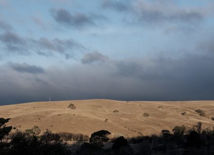 Opulence Estate, Bombala 34