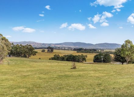 Orange Blossom, Kilmore 10