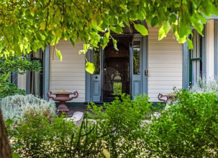 Orange Blossom, Kilmore 12