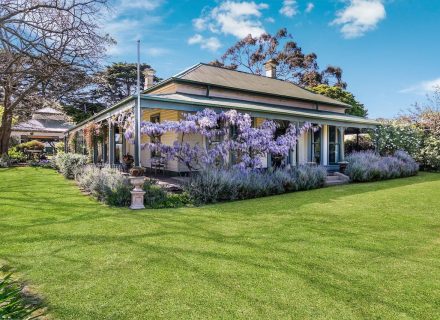 Orange Blossom, Kilmore 15