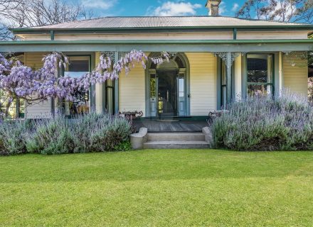 Orange Blossom, Kilmore 17