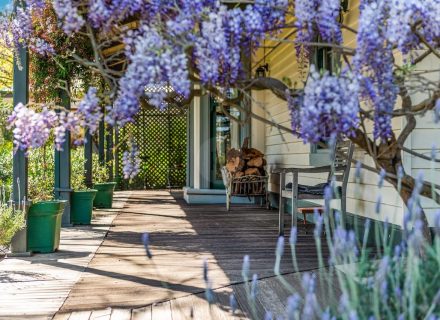 Orange Blossom, Kilmore 20