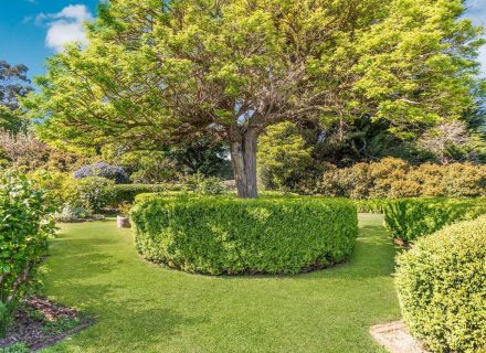 garden established