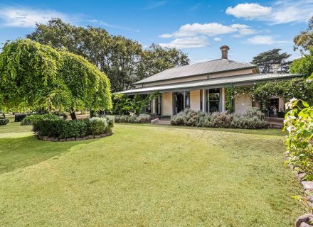 Orange Blossom, Kilmore 46
