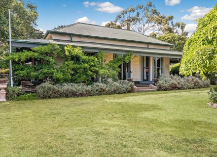 Orange Blossom, Kilmore 48