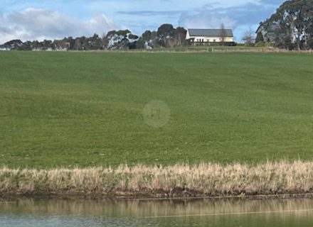 Orchard House, Birregurra-16
