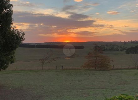 Orchard House, Birregurra-20