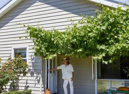 Orchard House, Birregurra-27