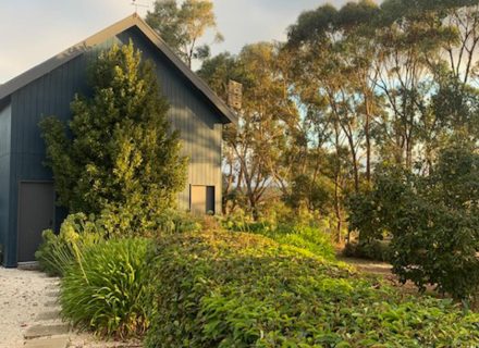 Orchard House, Birregurra-5