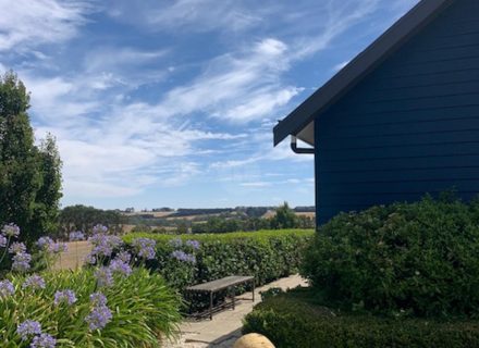 Orchard House, Birregurra-8