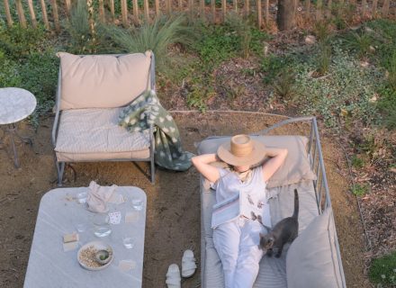 outdoor area backyard garden established