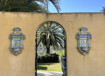 PALAZZO SOPHIE 507